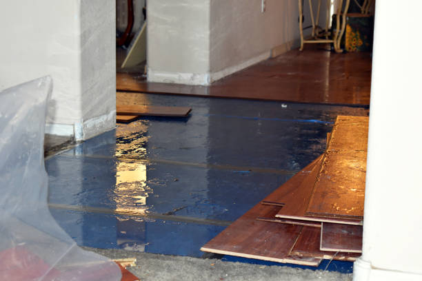 Professional Sewage Cleanup technician working in Linden, IA